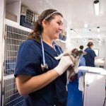 Costs of Operating a Veterinarian Clinic