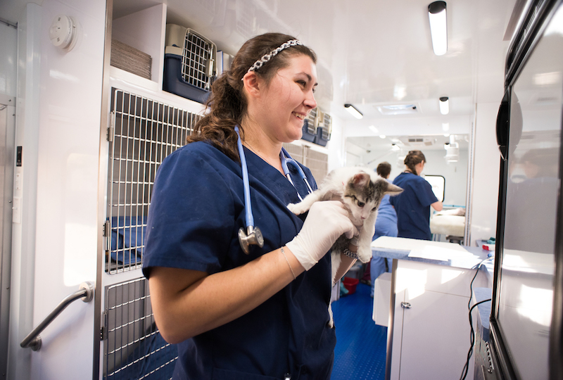 Costs of Operating a Veterinarian Clinic